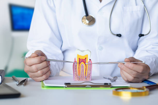 Best Emergency Tooth Extraction in Lawnside, NJ